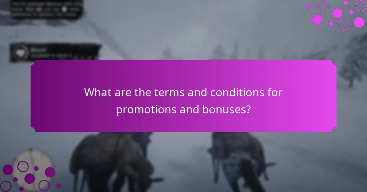 What are the terms and conditions for promotions and bonuses?